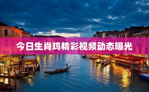 今日生肖雞精彩視頻動(dòng)態(tài)曝光