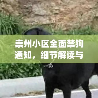 飯來張口