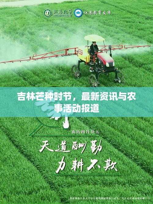 吉林芒種時節(jié)，最新資訊與農(nóng)事活動報道