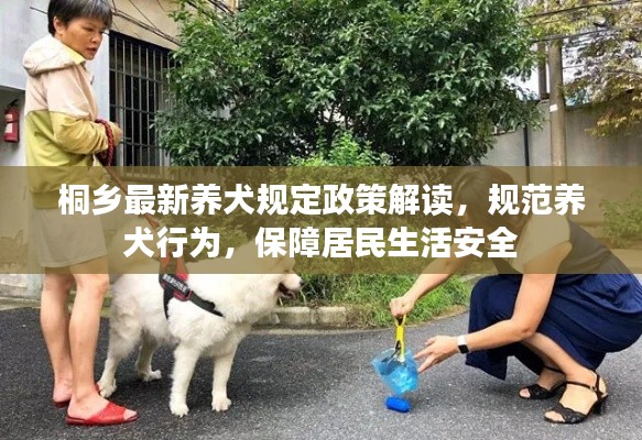 桐鄉(xiāng)最新養(yǎng)犬規(guī)定政策解讀，規(guī)范養(yǎng)犬行為，保障居民生活安全