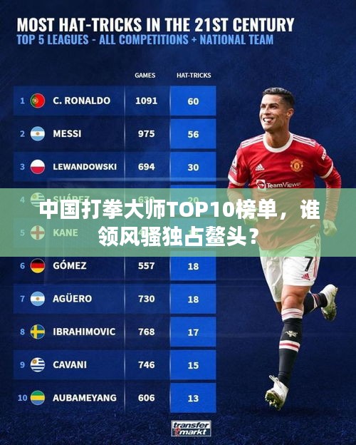 中國(guó)打拳大師TOP10榜單，誰(shuí)領(lǐng)風(fēng)騷獨(dú)占鰲頭？