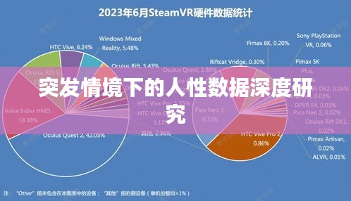 突發(fā)情境下的人性數(shù)據(jù)深度研究
