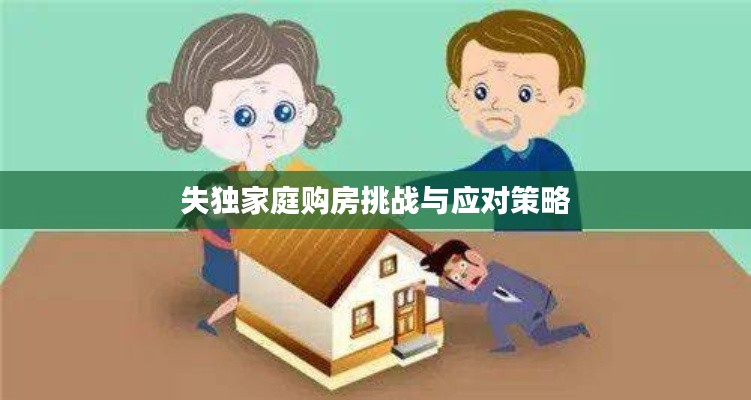 失獨(dú)家庭購房挑戰(zhàn)與應(yīng)對策略