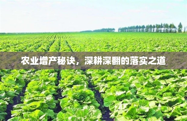 農(nóng)業(yè)增產(chǎn)秘訣，深耕深翻的落實(shí)之道