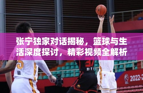 張寧獨(dú)家對話揭秘，籃球與生活深度探討，精彩視頻全解析