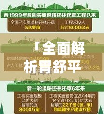「全面解析胃舒平，功效、使用指南及注意事項(xiàng)，助你科學(xué)養(yǎng)胃」