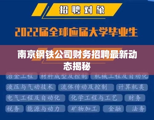 南京鋼鐵公司財務(wù)招聘最新動態(tài)揭秘