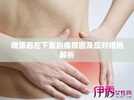 晚飯后左下腹劇痛原因及應(yīng)對(duì)措施解析