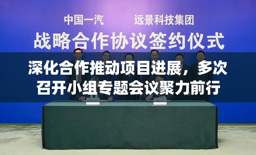 深化合作推動(dòng)項(xiàng)目進(jìn)展，多次召開(kāi)小組專題會(huì)議聚力前行