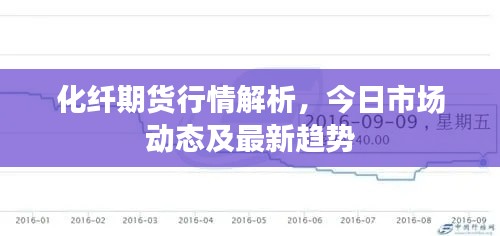 化纖期貨行情解析，今日市場動態(tài)及最新趨勢
