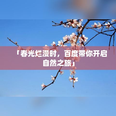 「春光爛漫時，百度帶你開啟自然之旅」