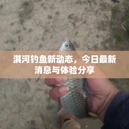 淇河釣魚新動態(tài)，今日最新消息與體驗分享
