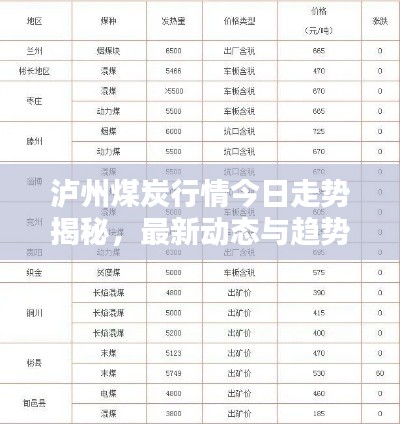 瀘州煤炭行情今日走勢揭秘，最新動態(tài)與趨勢分析
