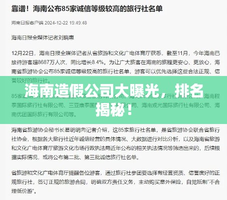 海南造假公司大曝光，排名揭秘！
