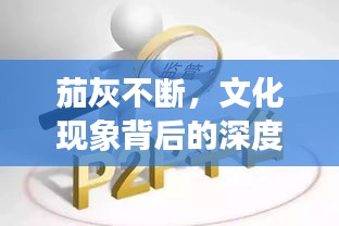 茄灰不斷，文化現(xiàn)象背后的深度解讀