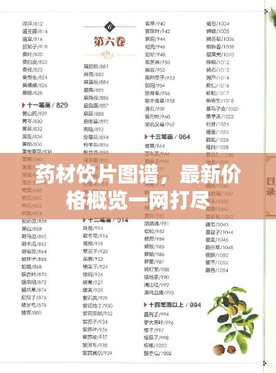 聯(lián)系我們 第20頁