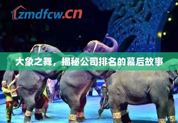 大象之舞，揭秘公司排名的幕后故事