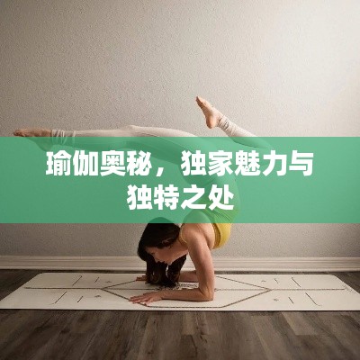 瑜伽奧秘，獨家魅力與獨特之處