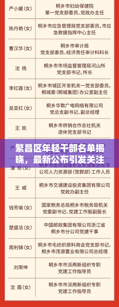 繁昌區(qū)年輕干部名單揭曉，最新公布引發(fā)關(guān)注