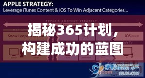 揭秘365計(jì)劃，構(gòu)建成功的藍(lán)圖已展開！