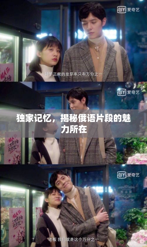 獨(dú)家記憶，揭秘俄語(yǔ)片段的魅力所在
