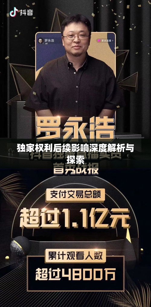 獨家權利后續(xù)影響深度解析與探索