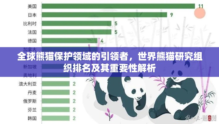 全球熊貓保護(hù)領(lǐng)域的引領(lǐng)者，世界熊貓研究組織排名及其重要性解析