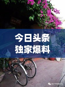 今日頭條獨(dú)家爆料，魏明亮最新動(dòng)態(tài)揭秘