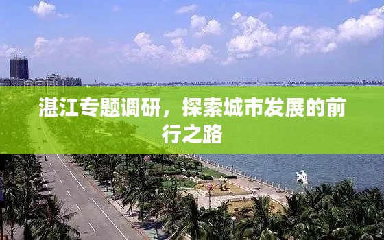 湛江專題調(diào)研，探索城市發(fā)展的前行之路