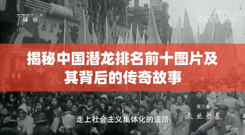 揭秘中國潛龍排名前十圖片及其背后的傳奇故事