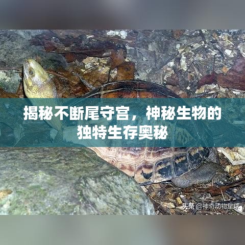 標新競異
