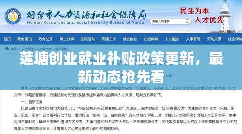 蓮塘創(chuàng)業(yè)就業(yè)補貼政策更新，最新動態(tài)搶先看
