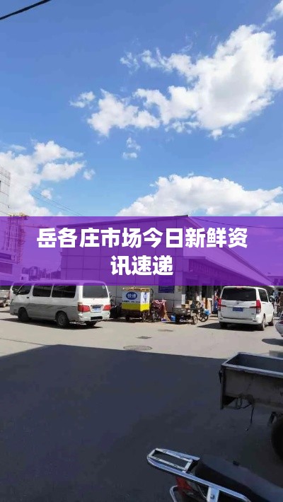 岳各莊市場(chǎng)今日新鮮資訊速遞