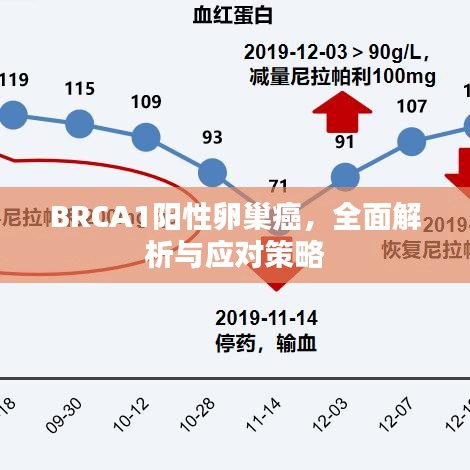 BRCA1陽性卵巢癌，全面解析與應(yīng)對策略