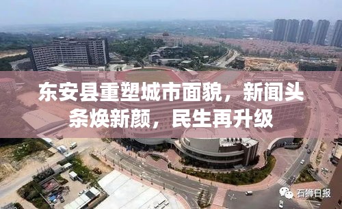 飛揚(yáng)跋扈