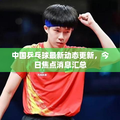 中國乒乓球最新動態(tài)更新，今日焦點消息匯總