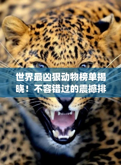 世界最兇狠動(dòng)物榜單揭曉！不容錯(cuò)過的震撼排名