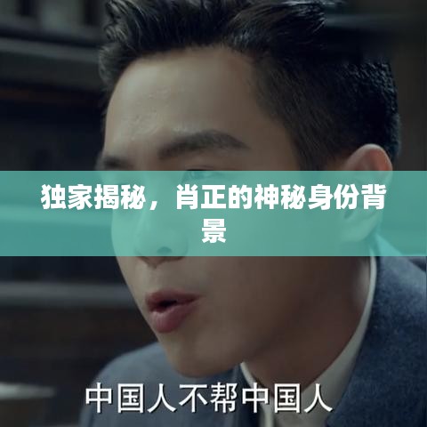 一毫不茍