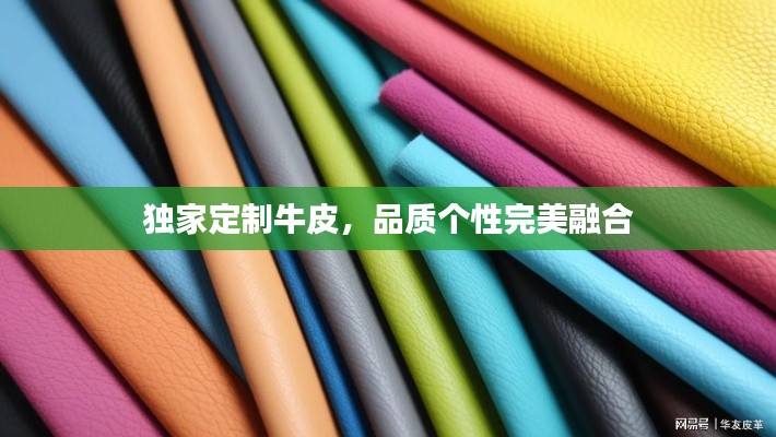 獨家定制牛皮，品質個性完美融合