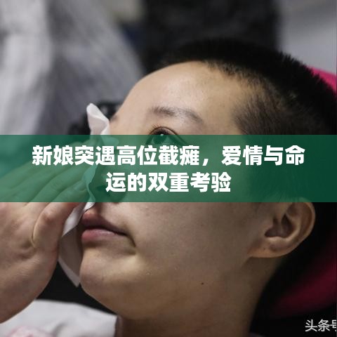 新娘突遇高位截癱，愛情與命運(yùn)的雙重考驗