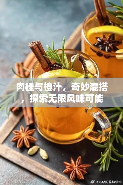 肉桂與橙汁，奇妙混搭，探索無限風味可能