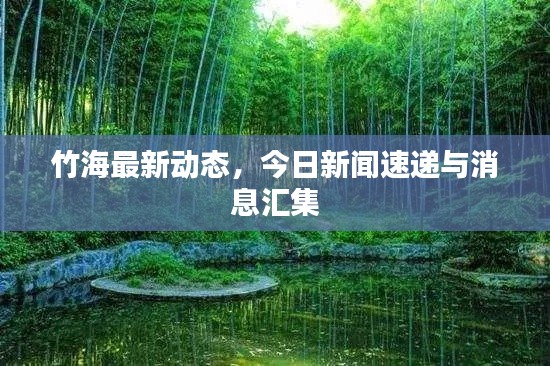 竹海最新動(dòng)態(tài)，今日新聞速遞與消息匯集