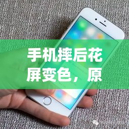 手機摔后花屏變色，原因解析、解決方法與預(yù)防措施