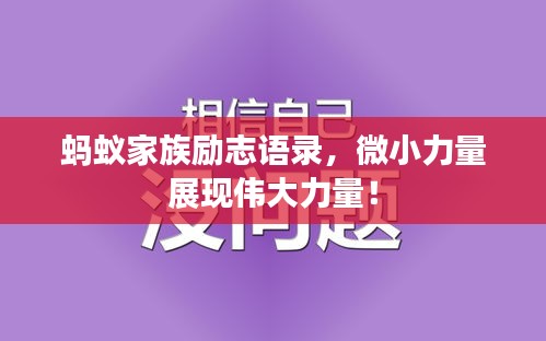 螞蟻家族勵志語錄，微小力量展現(xiàn)偉大力量！