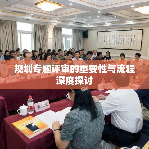 規(guī)劃專題評審的重要性與流程深度探討