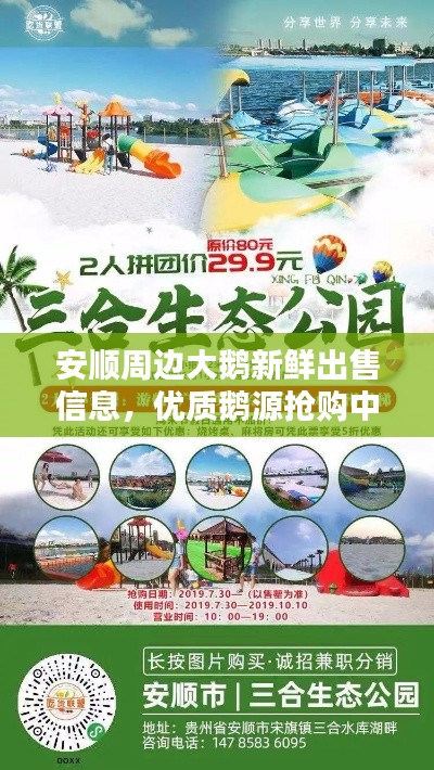 2025年5月2日 第3頁