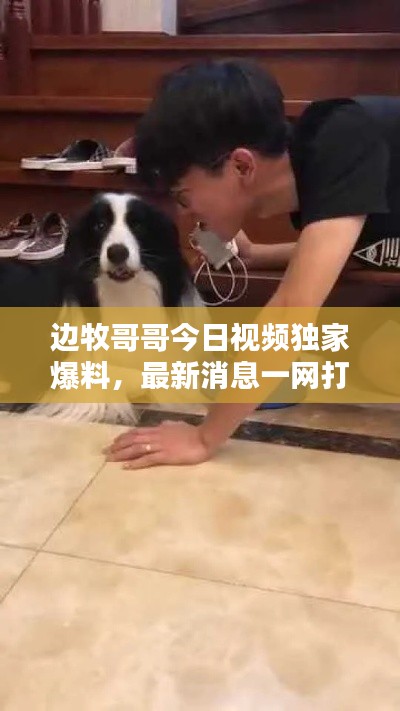 邊牧哥哥今日視頻獨(dú)家爆料，最新消息一網(wǎng)打盡！
