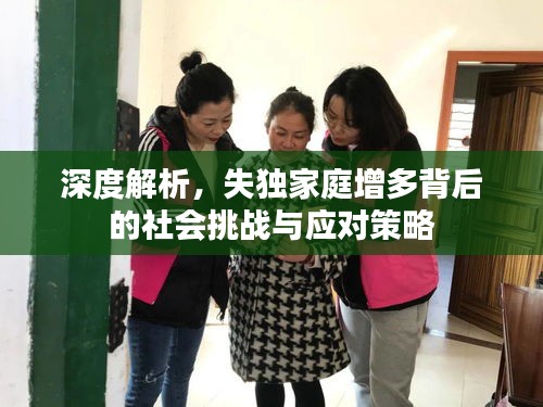 深度解析，失獨(dú)家庭增多背后的社會(huì)挑戰(zhàn)與應(yīng)對(duì)策略