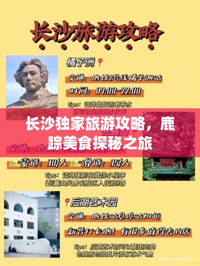 長沙獨家旅游攻略，鹿蹤美食探秘之旅