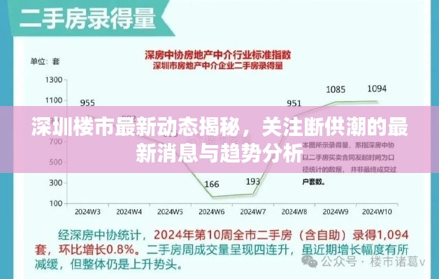 深圳樓市最新動態(tài)揭秘，關(guān)注斷供潮的最新消息與趨勢分析